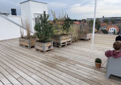 nectar invest ejendomsinvesteringer skelmose